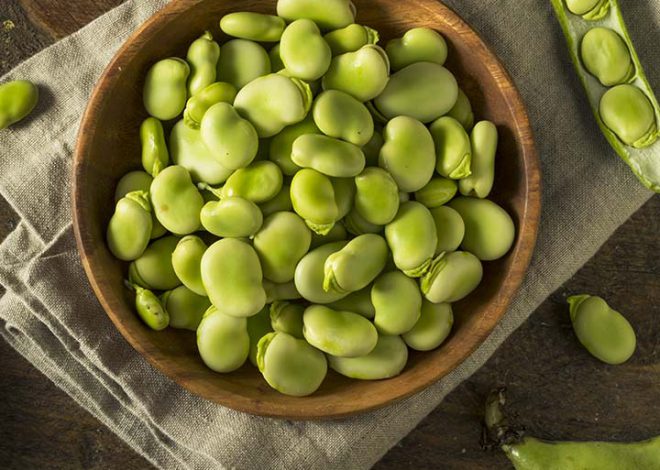 The 6 Powerful Benefits Of Fava Beans + An Incredible Recipe